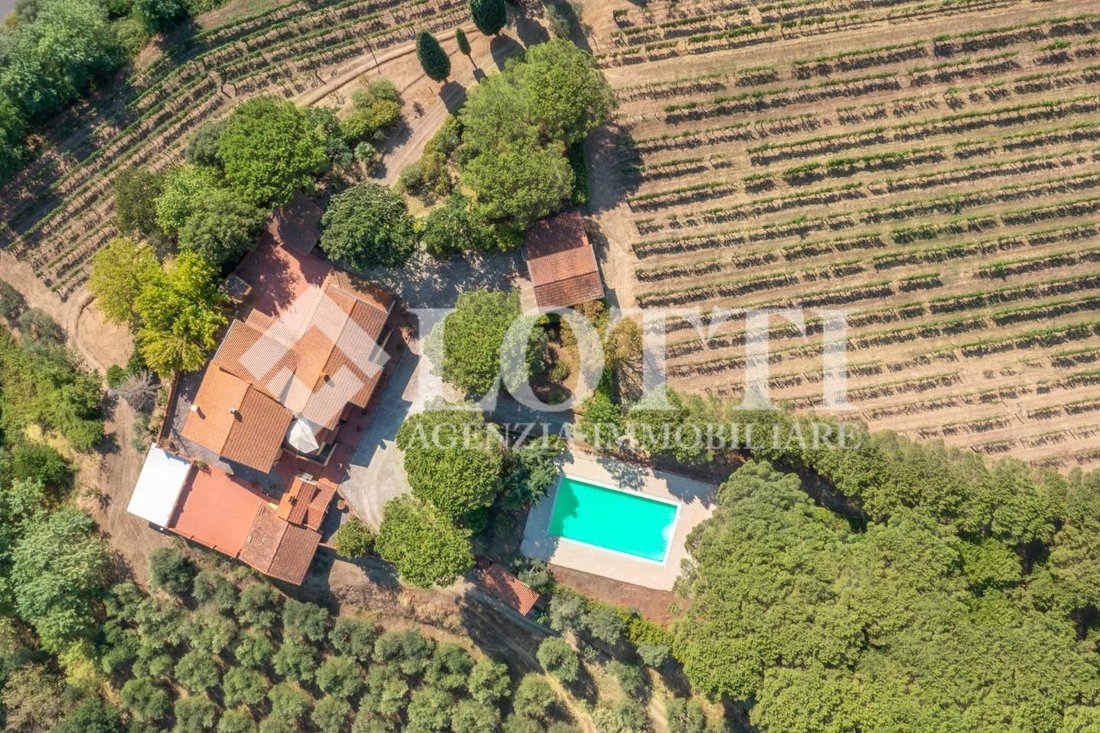 Country House in Palaia, Tuscany, Italy 2 - 12568177