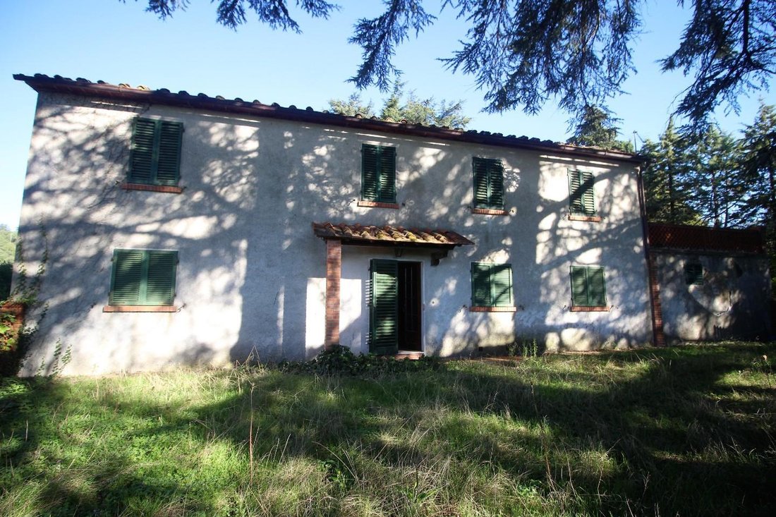Gaiole in Chianti, Tuscany, Italy 5 - 12567637