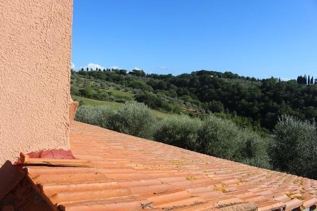Guardistallo, Tuscany, Italy 2 - 12567787