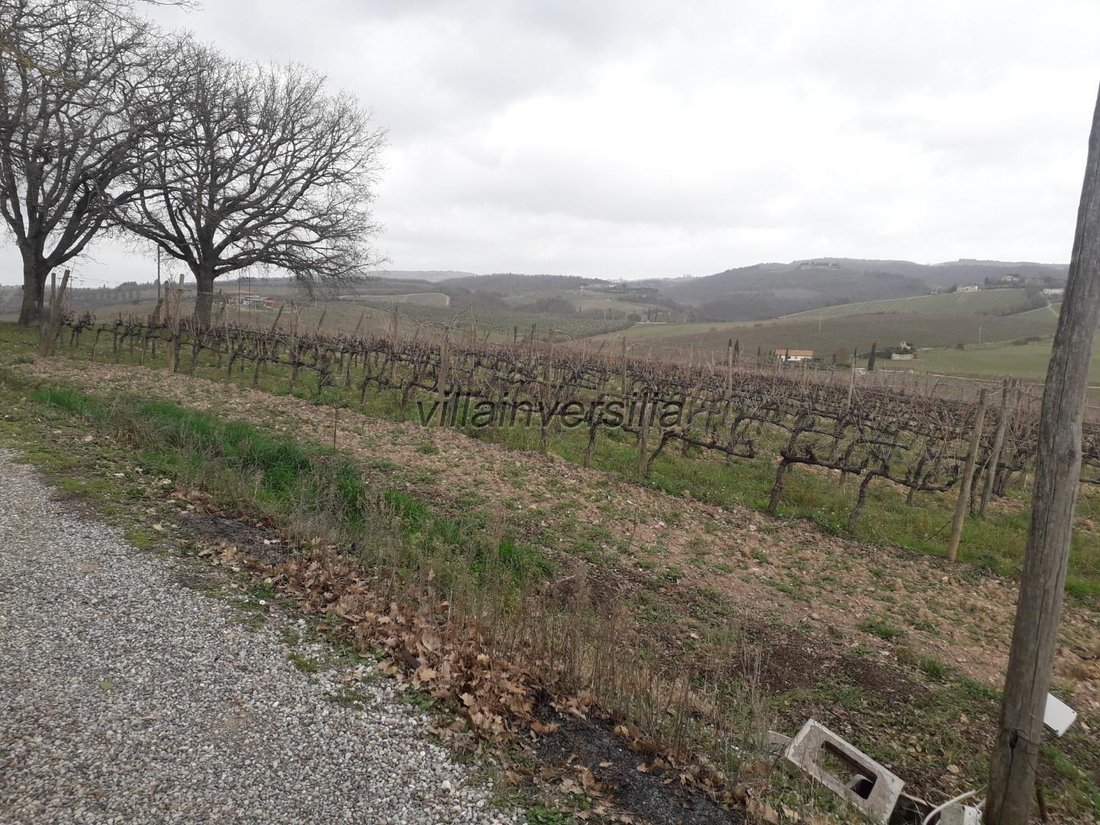 Castellina in Chianti, Tuscany, Italy 4 - 12567873
