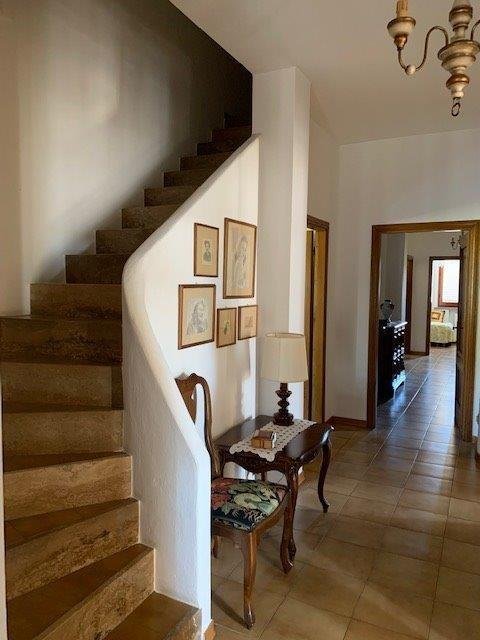 Spicchio-Sovigliana, Vinci, Tuscany 4 - 12567069