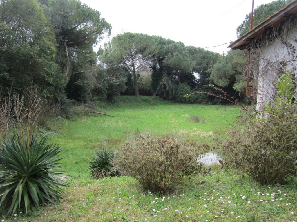 Villa in San Piero a Grado, Pisa, Tuscany 5 - 12567694