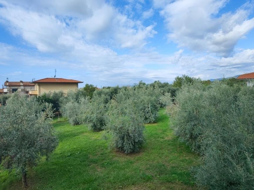 Villa in Cervaiolo - Debbia, Montignoso, Tuscany 2 - 12567860