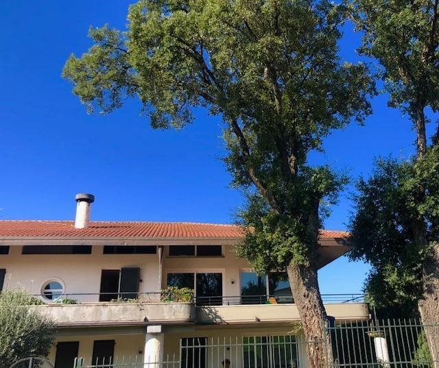Villa in Center, Cerreto Guidi, Tuscany 4 - 12568623