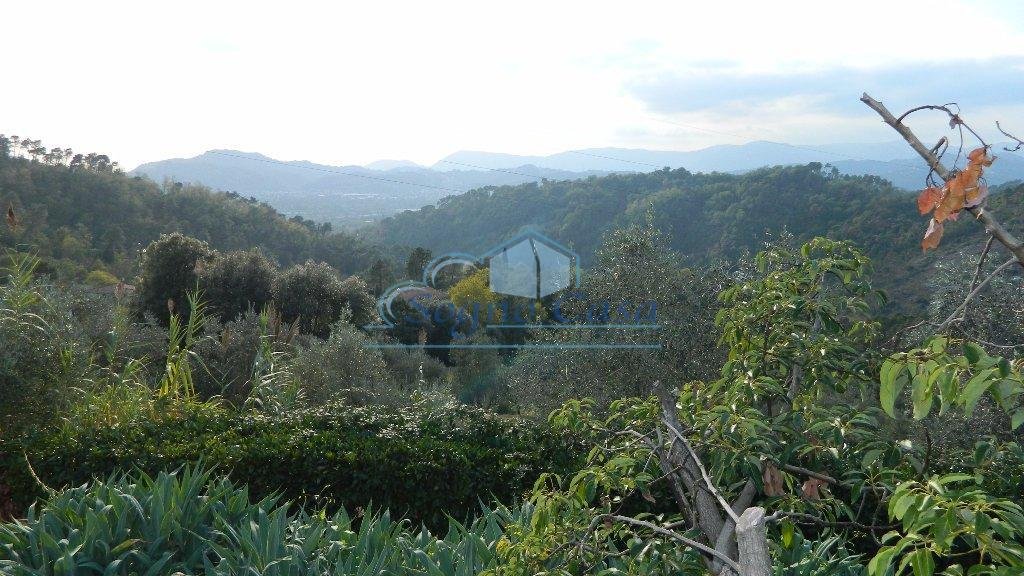 Villa in Olmo - Santa Caterina - Falcinello, Sarzana, Liguria 4 - 12568683