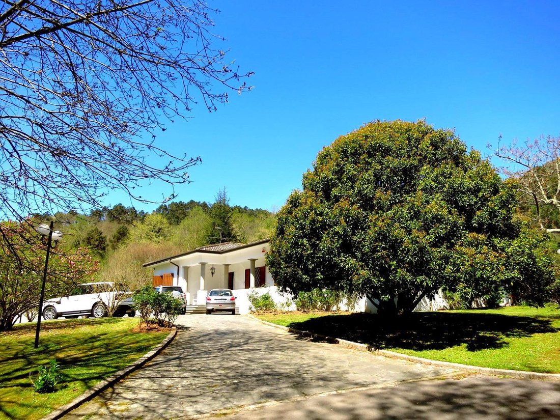 Villa in Camaiore, Tuscany, Italy 4 - 12568630