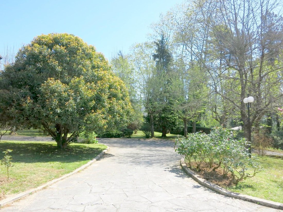 Villa in Camaiore, Tuscany, Italy 5 - 12568630