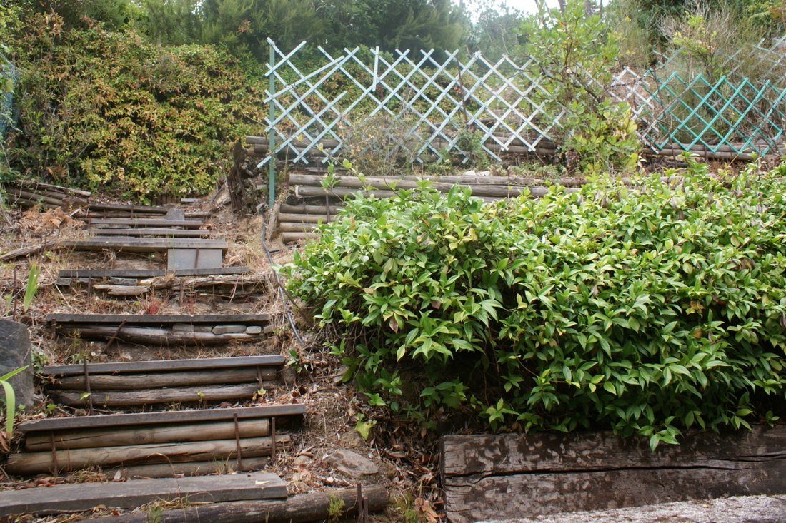 Bocca di Magra, Ameglia, Liguria 2 - 12568706