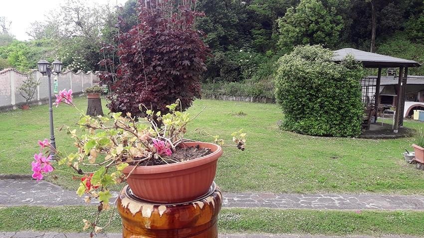 Townhouse in Carrara, Tuscany, Italy 2 - 12568966