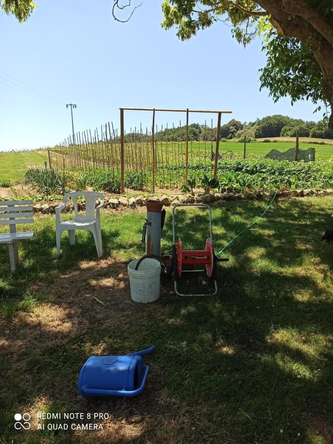 House in Castell'Anselmo, Collesalvetti, Tuscany 4 - 12568871