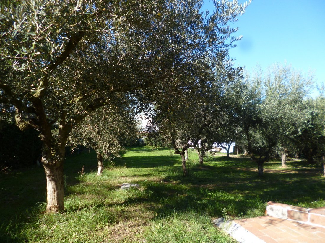 House in Montenero, Livorno, Tuscany 5 - 12569333