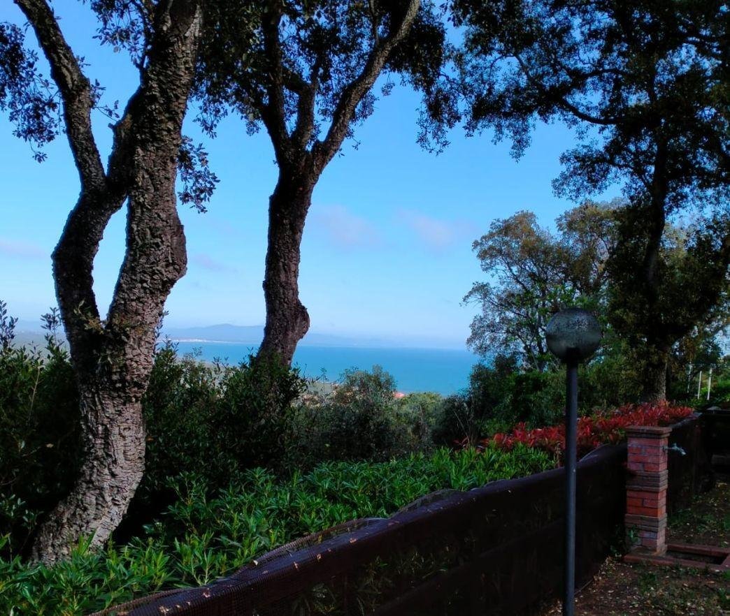 Country House in Castle of Castiglione, Castiglione della Pescaia, Tuscany 4 - 12569001