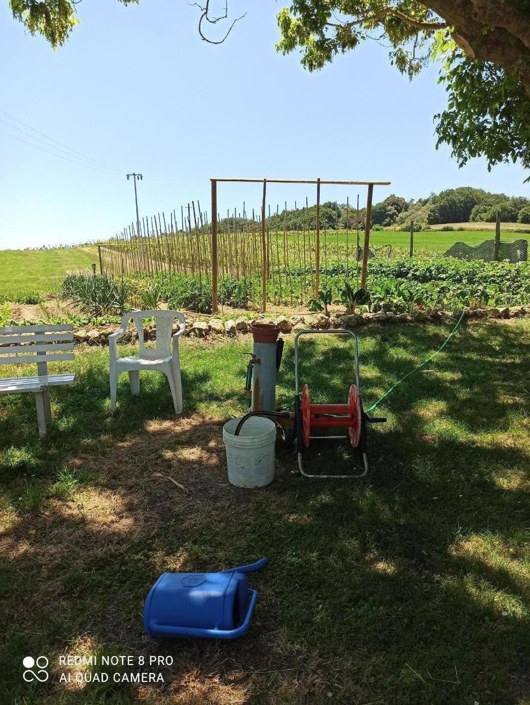 House in Castell'Anselmo, Collesalvetti, Tuscany 3 - 12568871