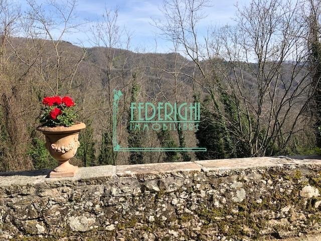 House in Coreglia Antelminelli, Tuscany, Italy 3 - 12569213