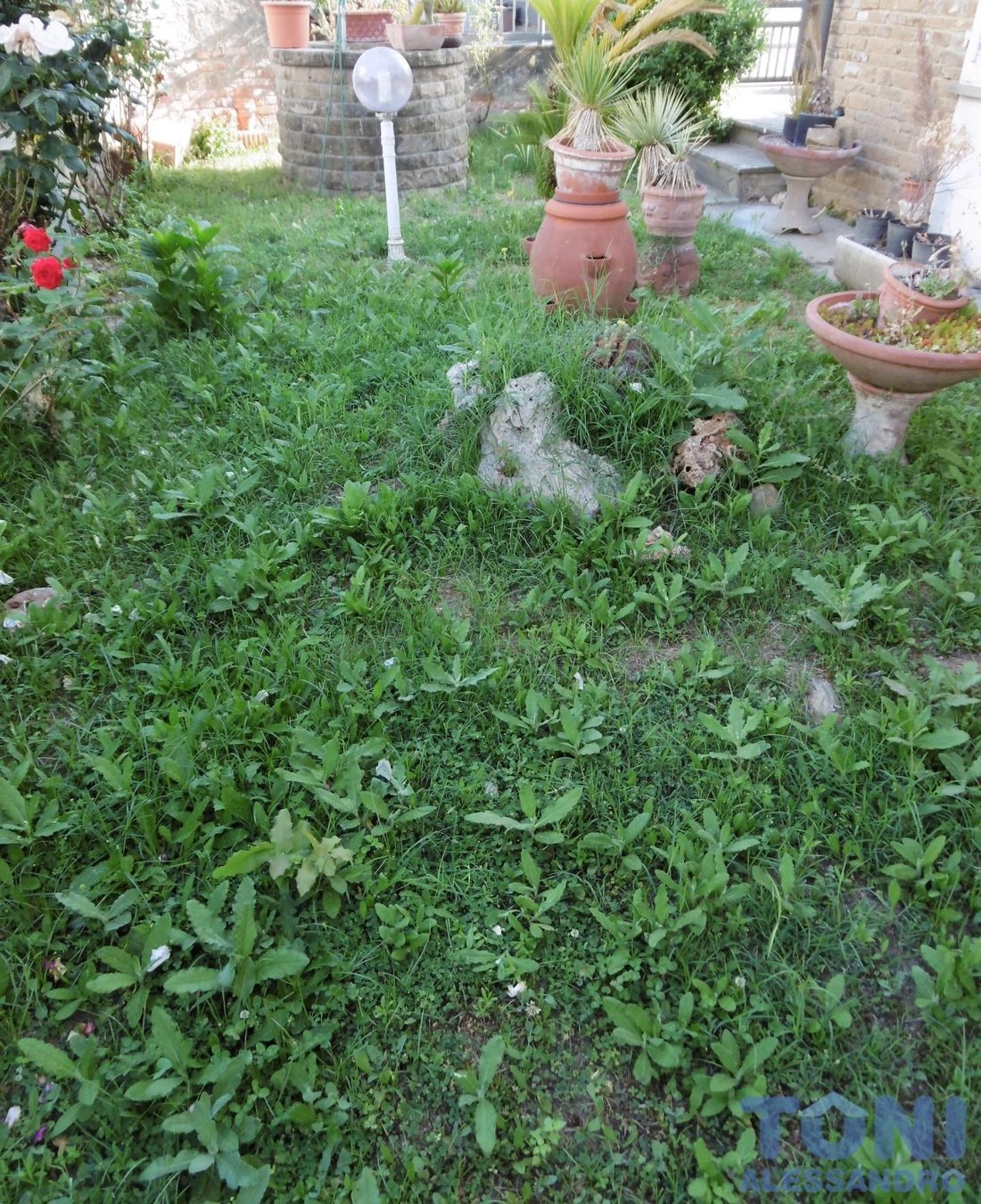 Casa de Campo en Zona Pretura, Empoli, Toscana 2 - 12568979