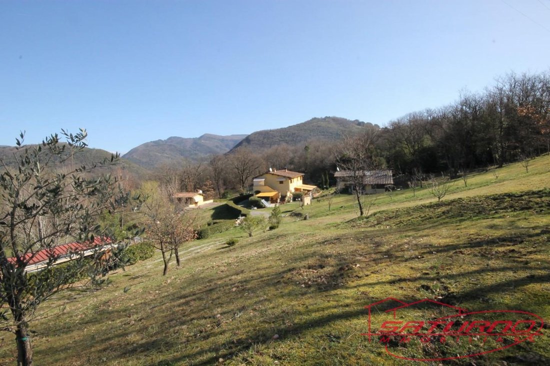 Pieve di Brancoli, Lucca, Tuscany 3 - 12569501
