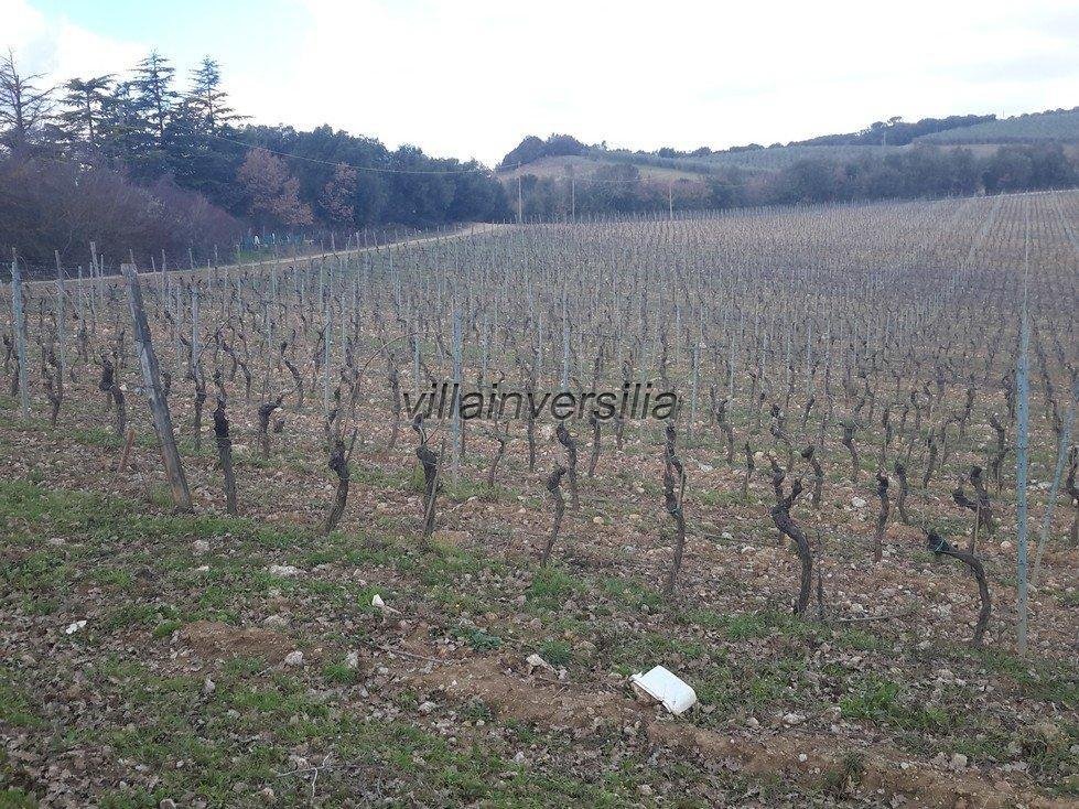 Murlo, Tuscany, Italy 1 - 12569317