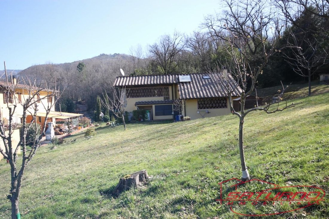Pieve di Brancoli, Lucca, Tuscany 4 - 12569501