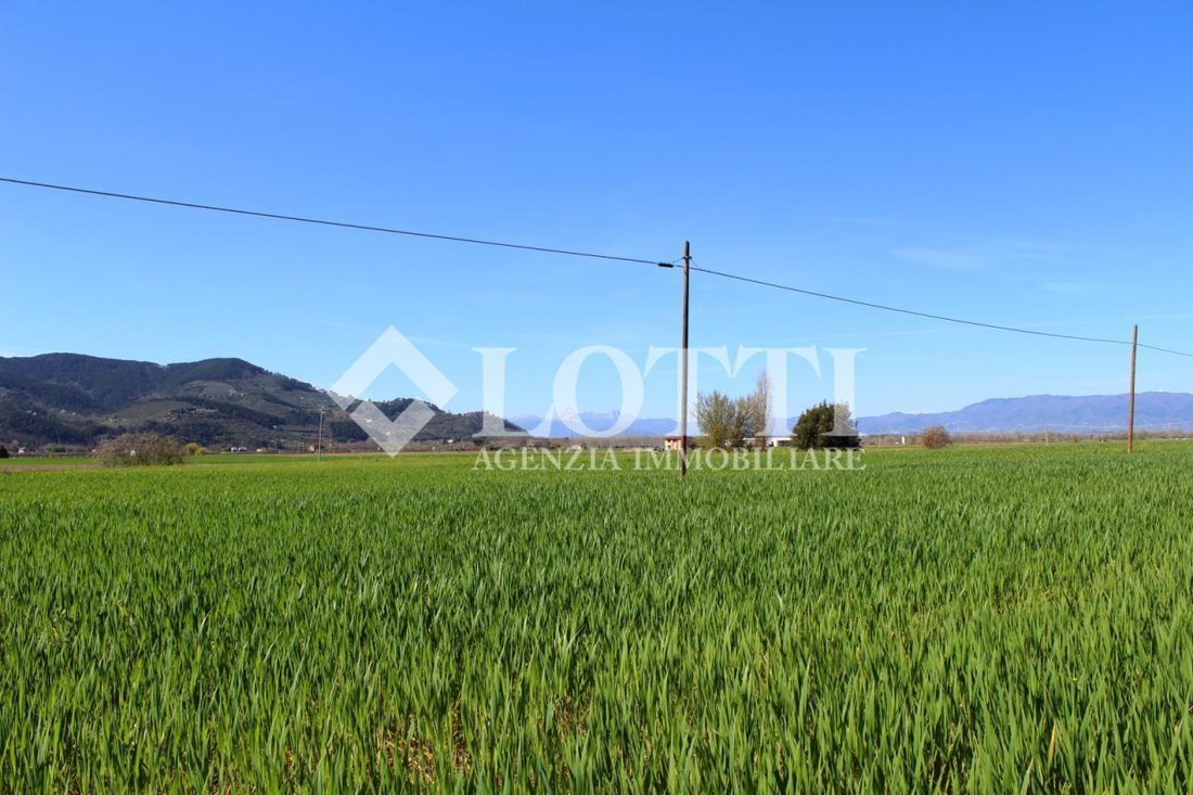 House in Bientina, Tuscany, Italy 5 - 12569123