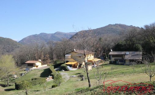 Area Moriano - Brancoli, Lucca, Toscana 1