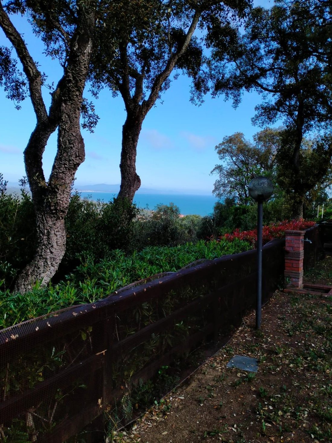 Country House in Castle of Castiglione, Castiglione della Pescaia, Tuscany 2 - 12569020