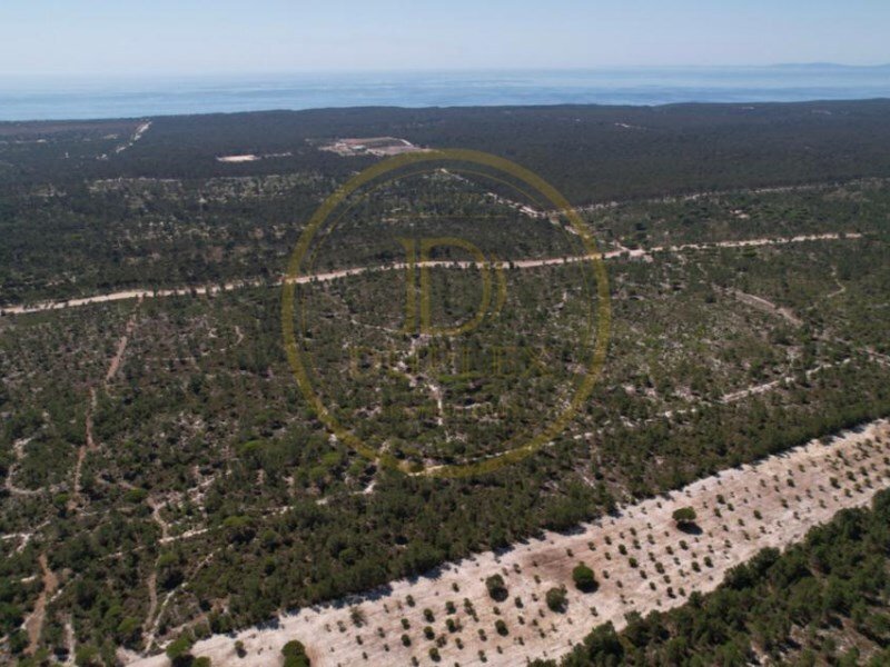 Mixed Land Sale Grândola In Grândola, Setubal, Portugal For Sale (12578262)