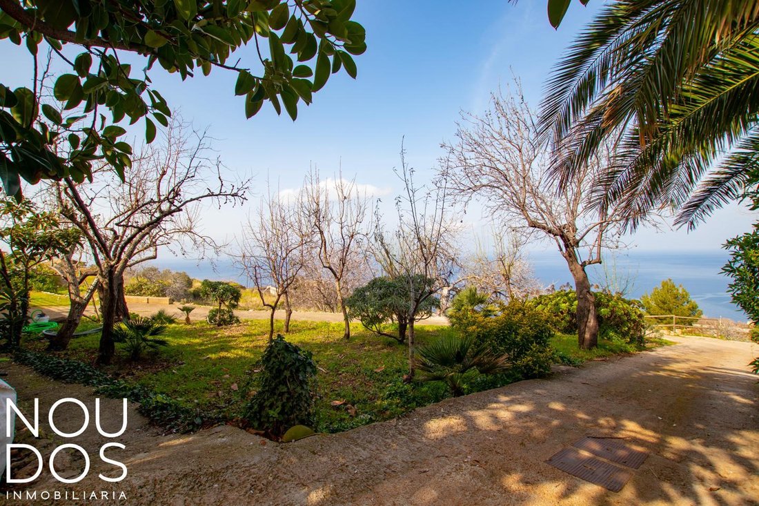 Country House in Banyalbufar, Balearic Islands, Spain 5 - 12582895