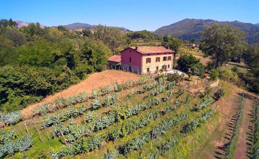 Estate in Castiglione di Garfagnana, Tuscany, Italy 1