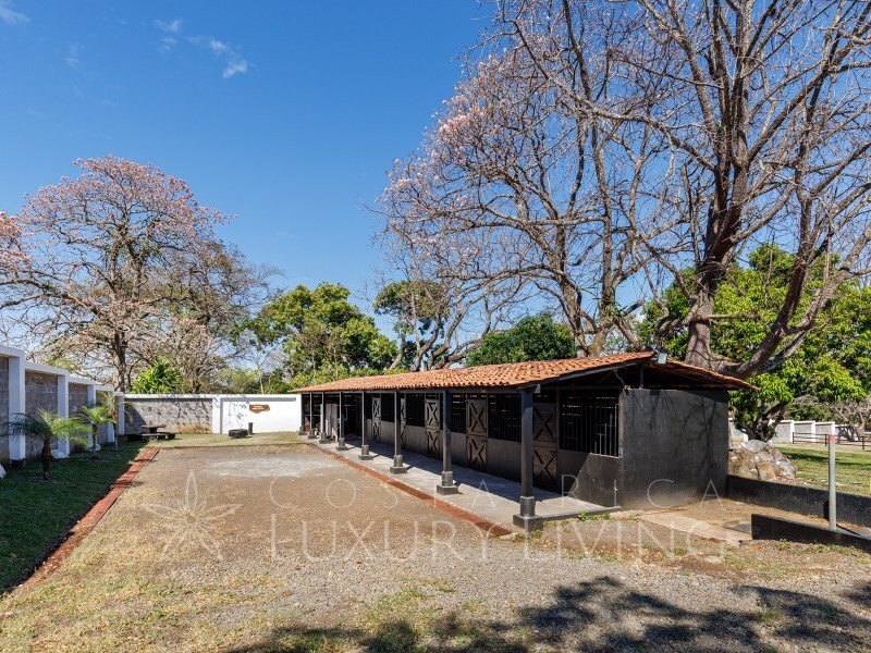 House in Alajuela, Costa Rica 5 - 12591476