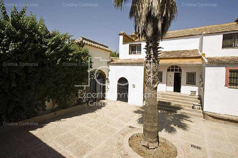 Villa in Alcala de Guadaira, Andalusia, Spain 5 - 10863584