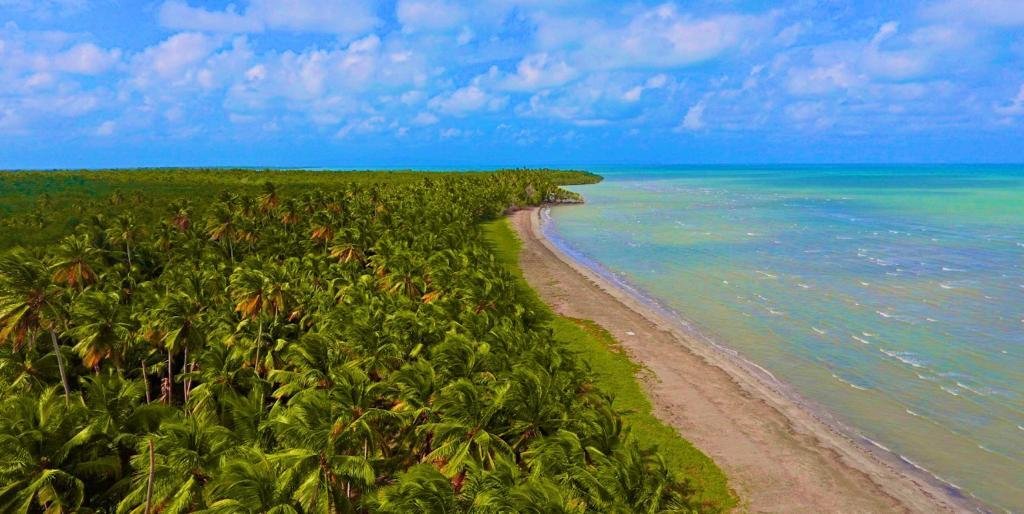 Beachfront Land For Only 23 Usd/M2 In El Seibo Province, Dominican