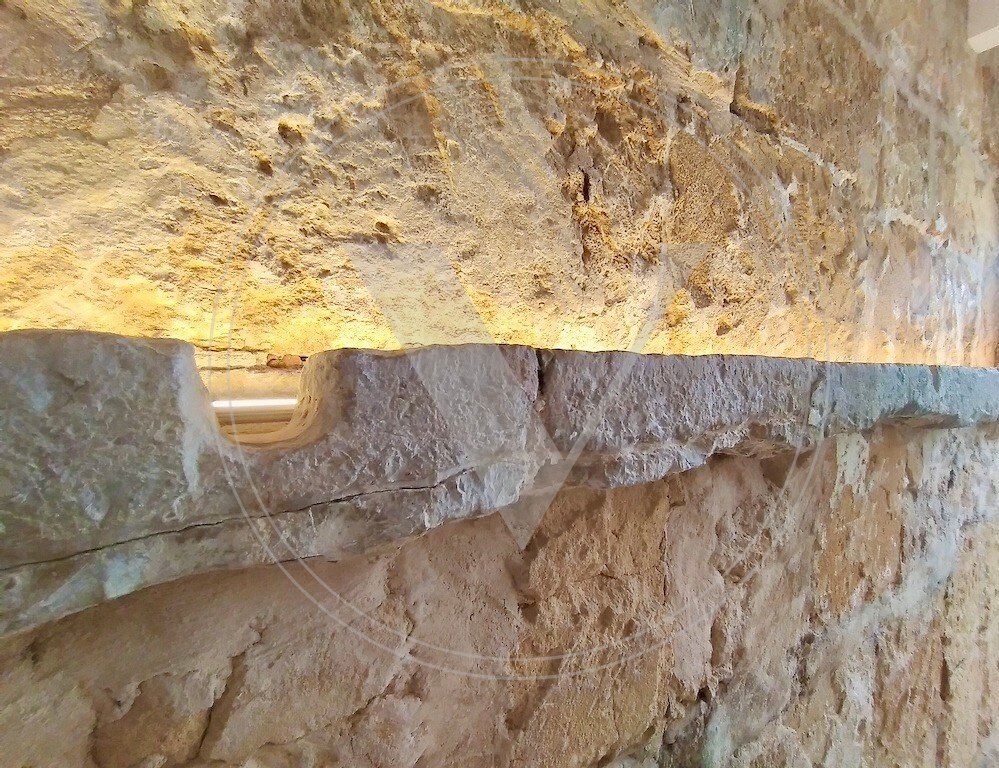 Apartment in Palma, Balearic Islands, Spain 5 - 12597611