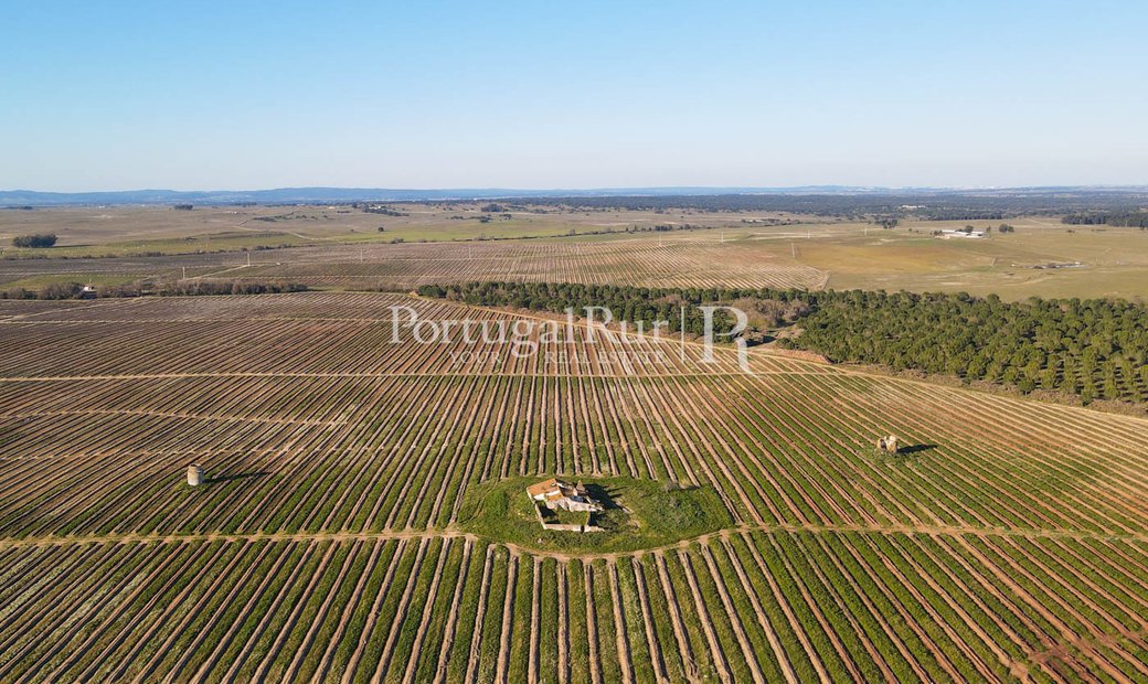 Estate With 181 Hectares Near évora In Viana Do Alentejo, évora