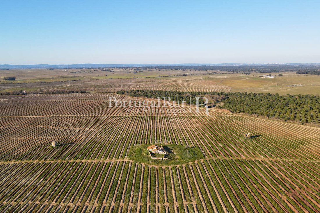 Farm Ranch in Viana do Alentejo, Évora District, Portugal 1 - 10946675