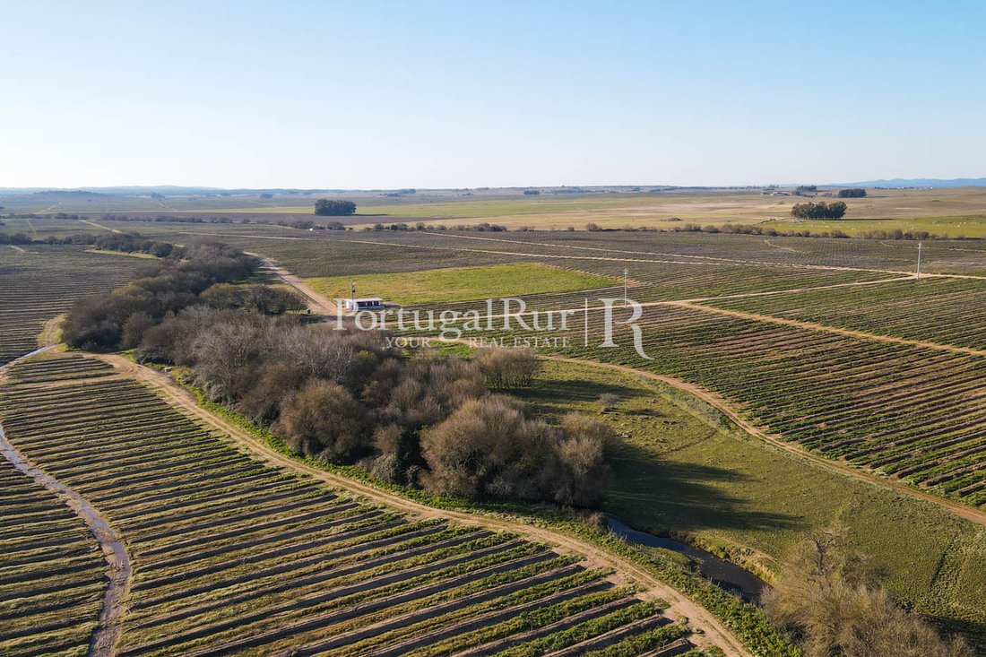 Farm Ranch in Viana do Alentejo, Évora District, Portugal 5 - 10946675