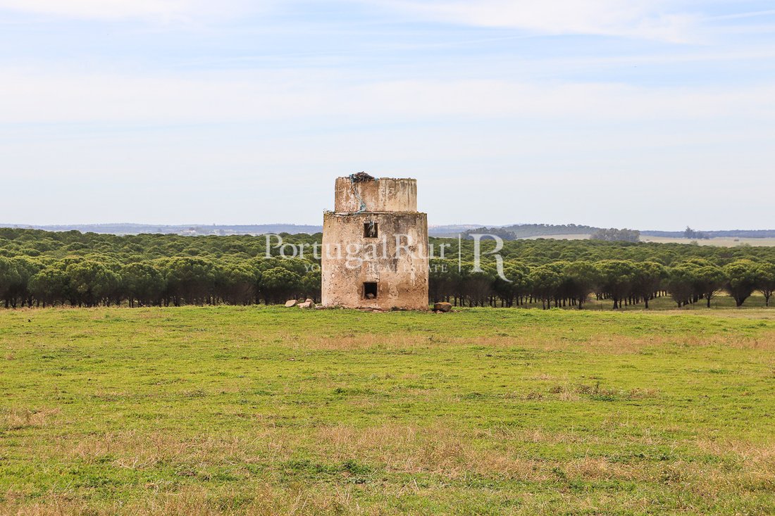 Farm Ranch in Viana do Alentejo, Évora District, Portugal 4 - 10946675