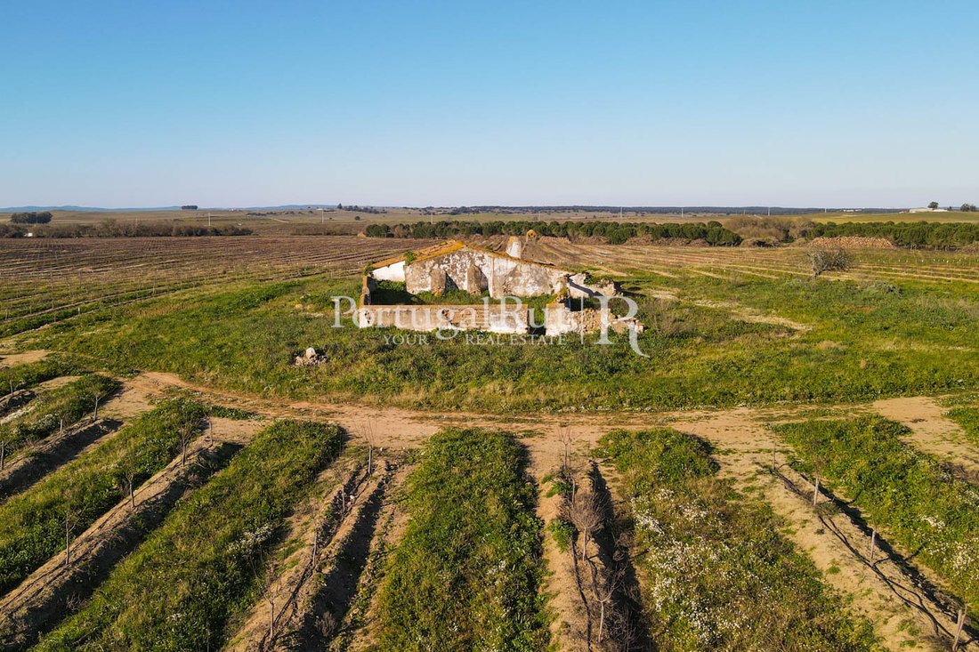 Farm Ranch in Viana do Alentejo, Évora District, Portugal 2 - 10946675
