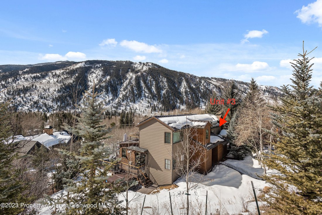 449 Mountain Laurel Drive Unit 3, Aspen, En Aspen, Colorado, Estados