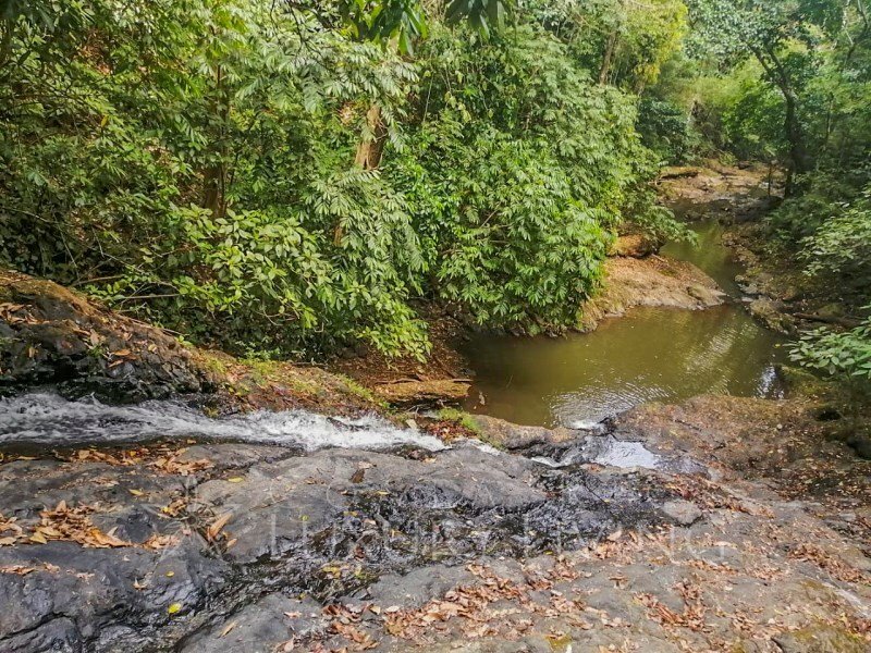 Farm Ranch in San Pablo District, Turrubares, San José Province, Costa Rica 4 - 12606683