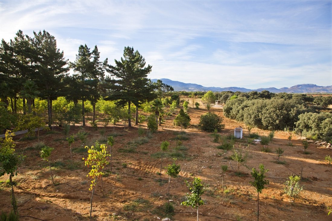 Landhaus in Ronda, Andalusien, Spanien 3 - 12605277