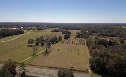 Land in High Springs, Florida, United States 1