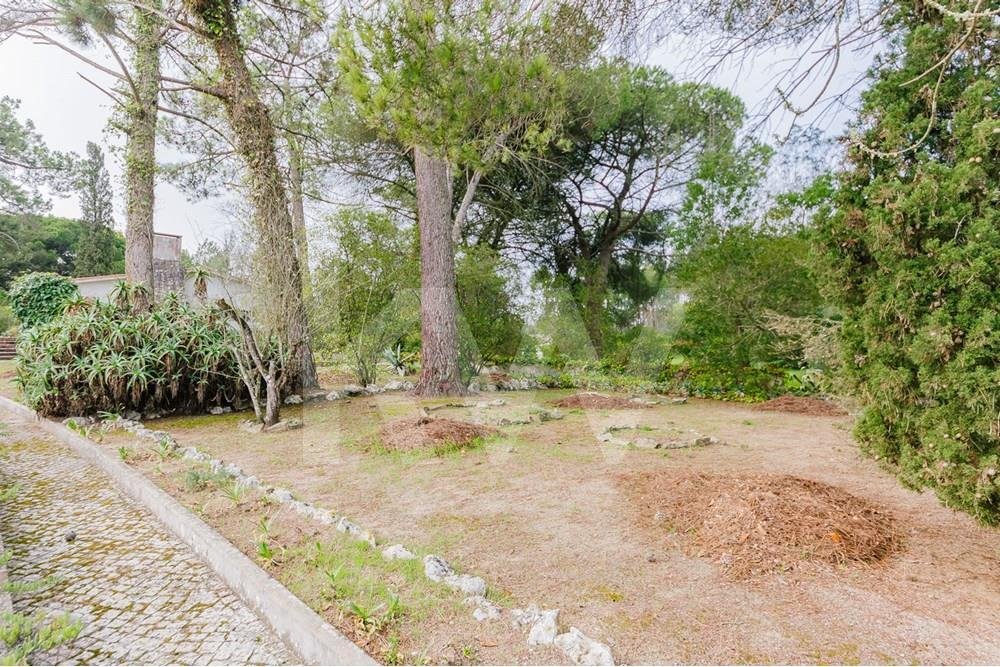 Farm Ranch in Santana, Setubal, Portugal 4 - 12605899
