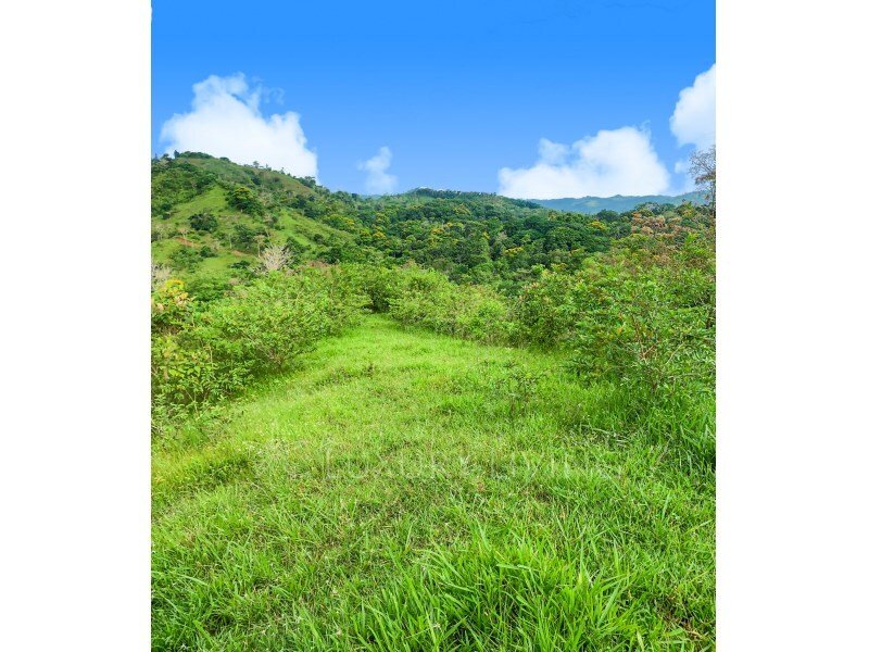 Farm Ranch in San Pablo District, Turrubares, San José Province, Costa Rica 2 - 12606683