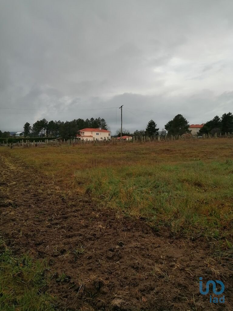 Land in Vale de Anta, Vila Real District, Portugal 5 - 12624450