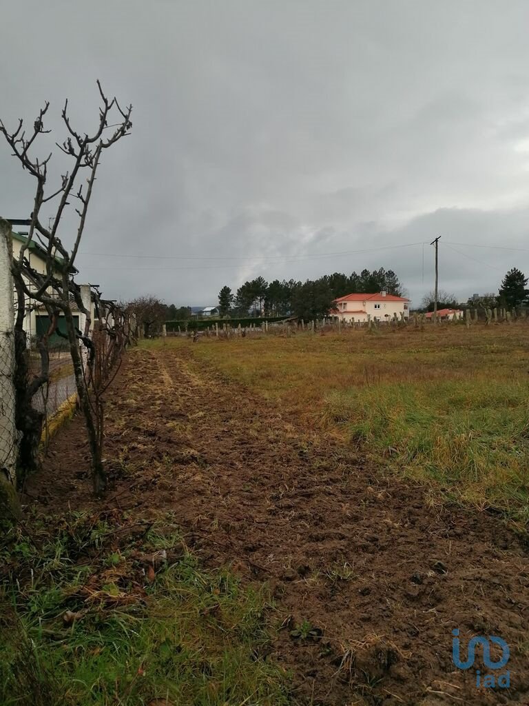 Land in Vale de Anta, Vila Real District, Portugal 4 - 12624450