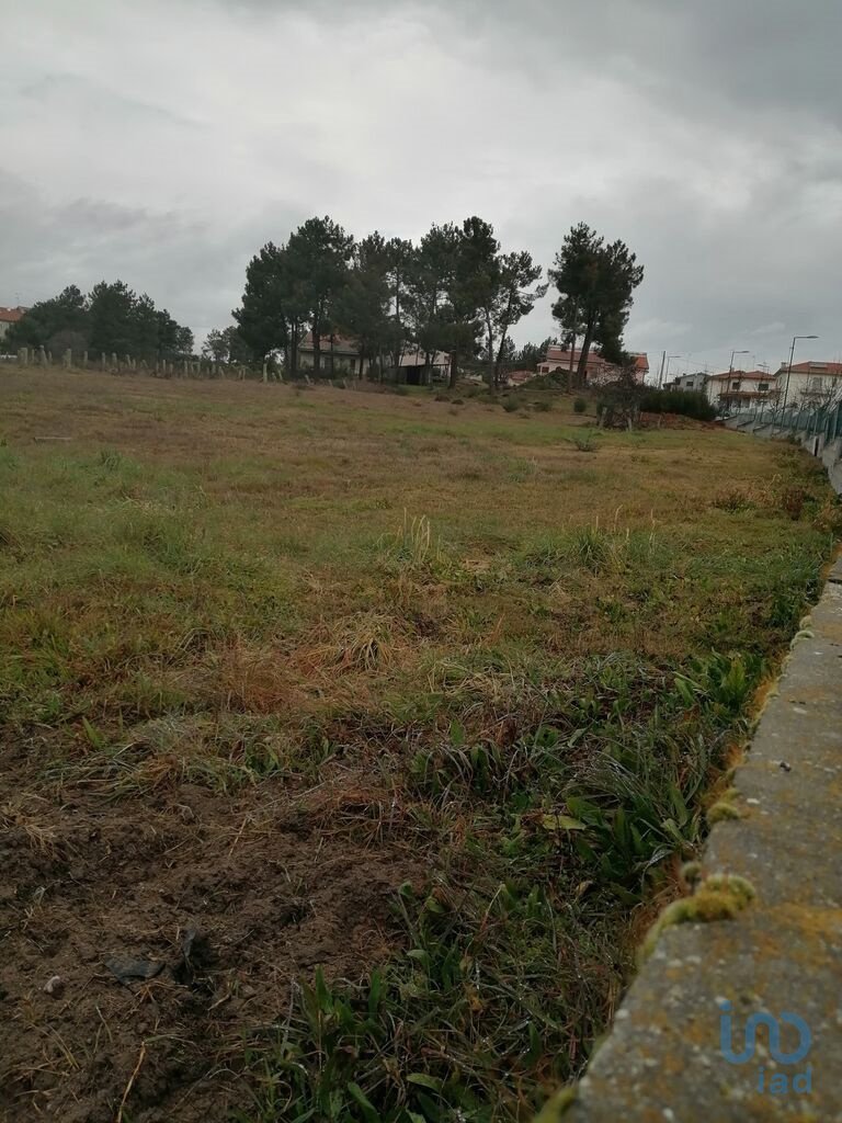 Land in Vale de Anta, Vila Real District, Portugal 3 - 12624450