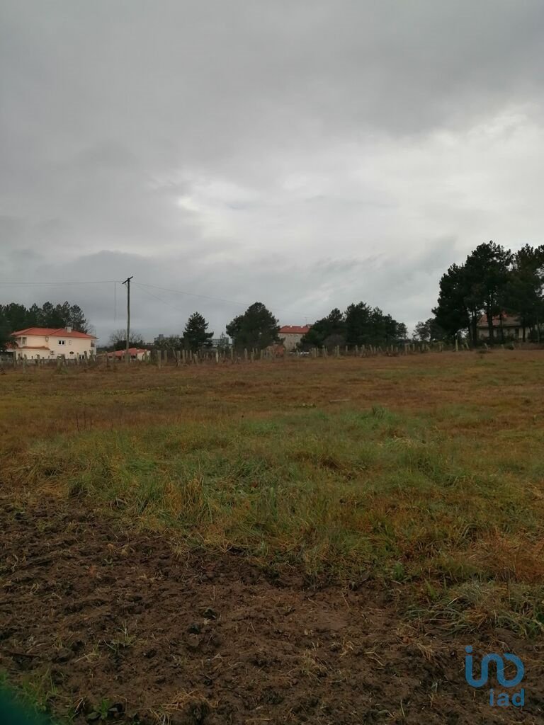 Land in Vale de Anta, Vila Real District, Portugal 2 - 12624450