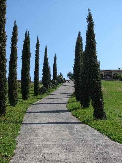 Villa in Manciano, Tuscany, Italy 2 - 12625360
