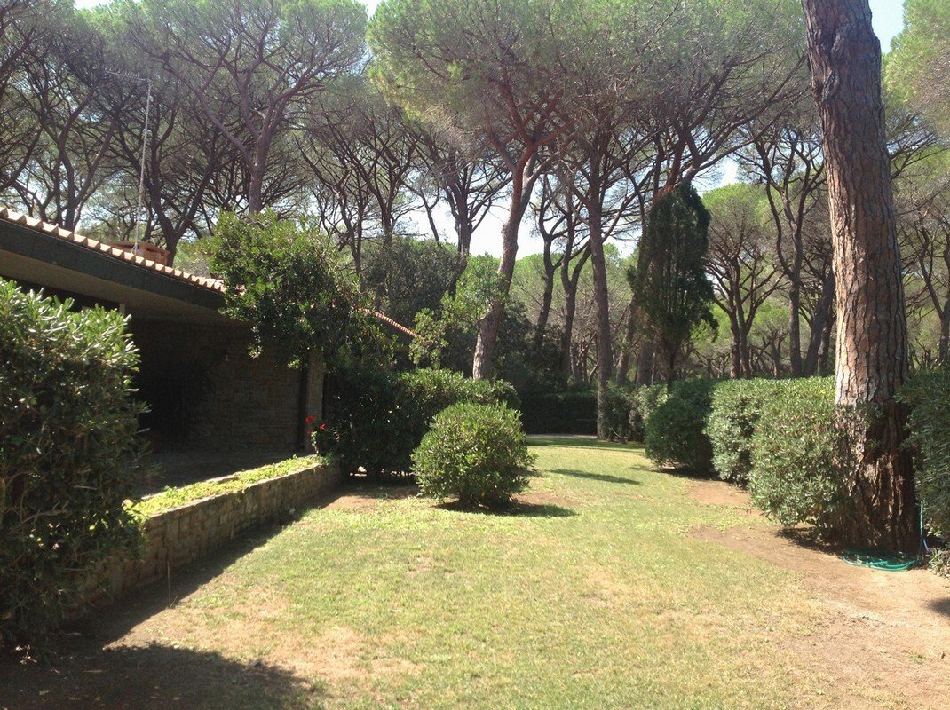 Villa in Castle of Castiglione, Castiglione della Pescaia, Tuscany 5 - 12626401