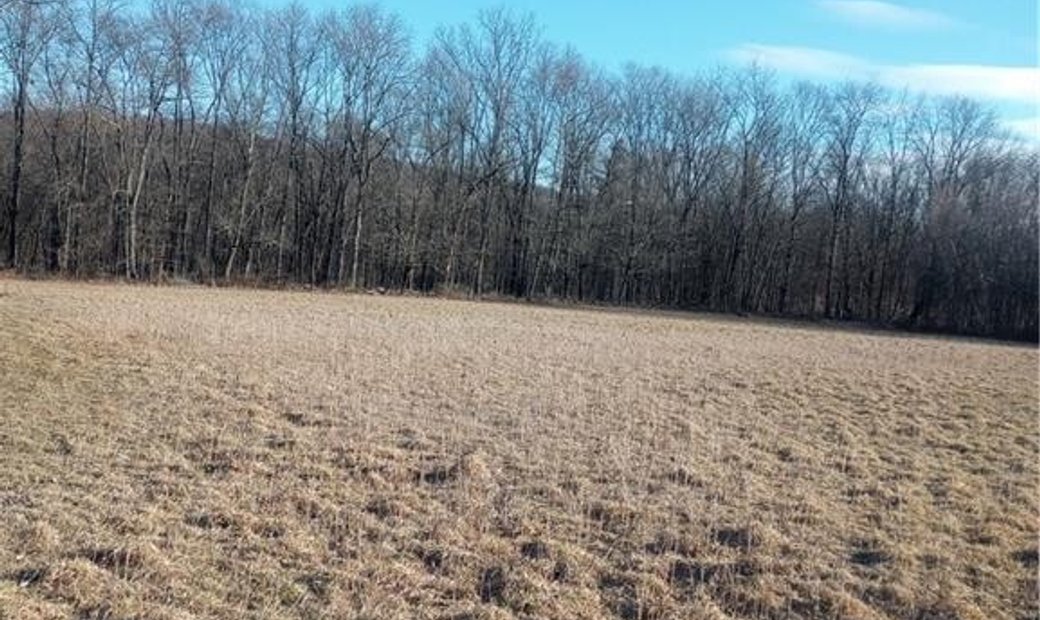 Lots And Land Minisink Dans Westtown, état De New York, états Unis à